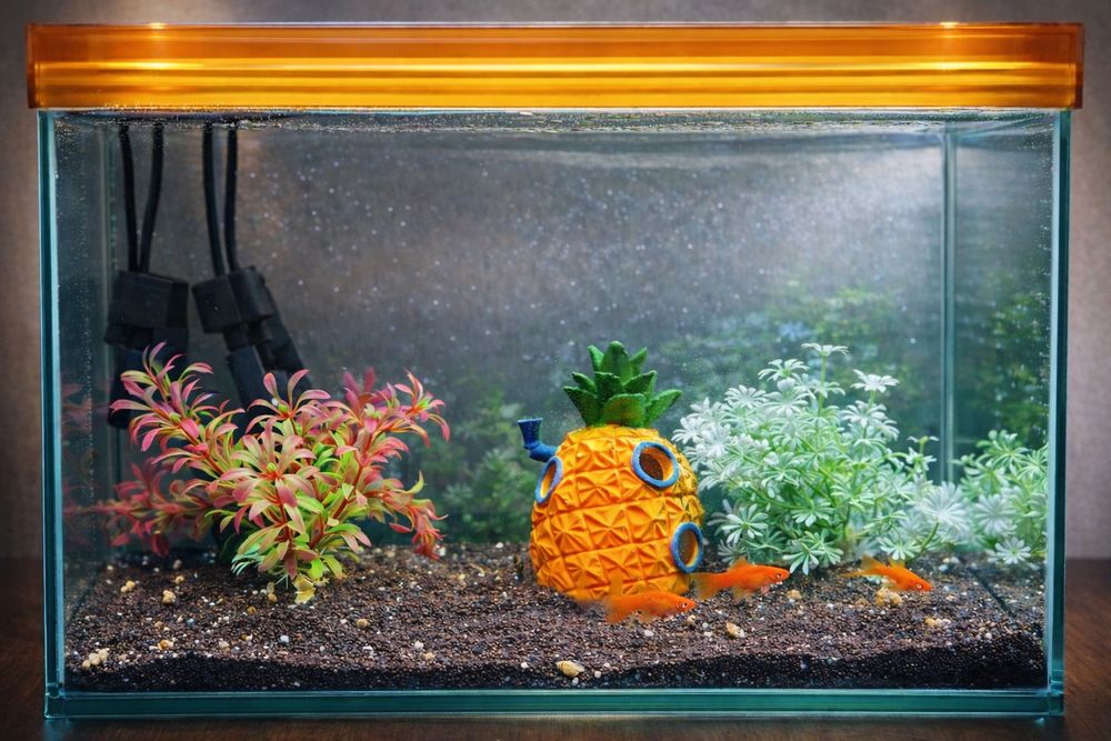 Аквариум 20 литров