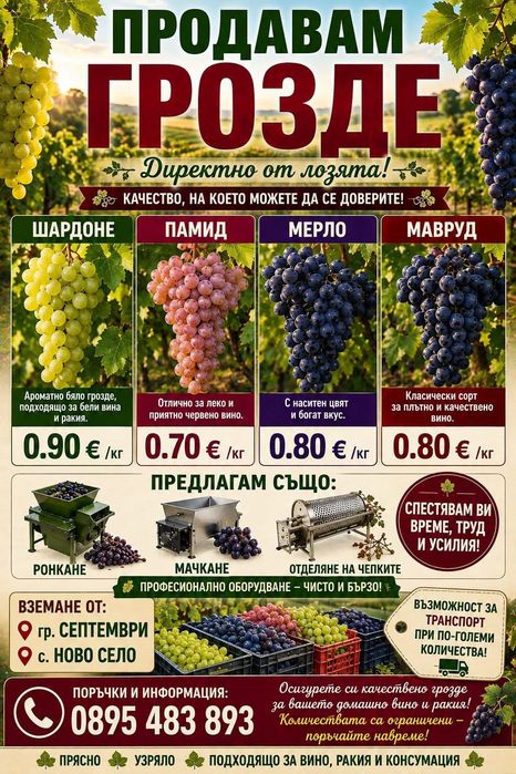 Грозде от производител