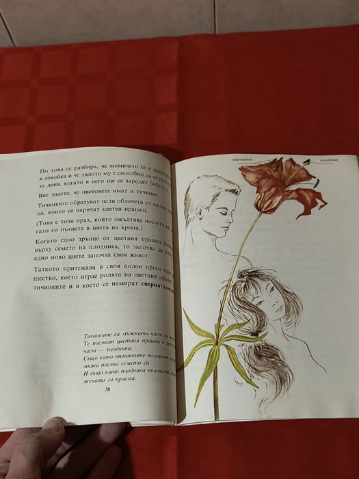 Полезни и много добре запазени книги - 25 лв за двете 
Бургас, изпраща