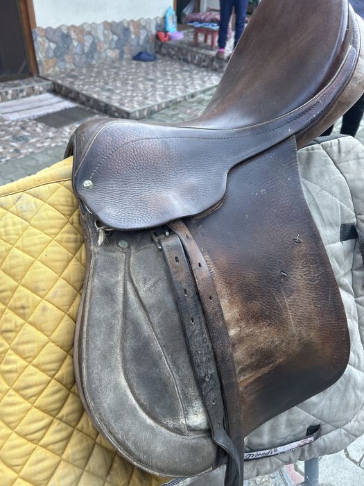 Şa pentru echitatie/ călărie