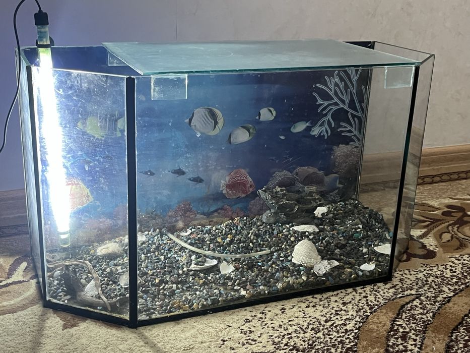Продаю стеклянный аквариум в полном комплекте 20 л.