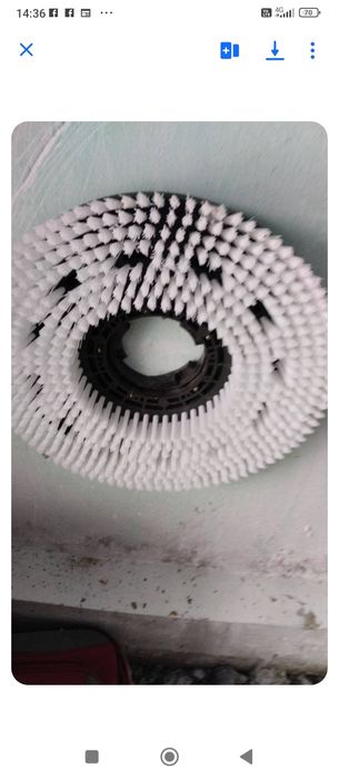 Vnd scule pt curatene