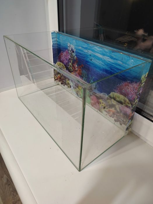 Продам аквариум со всем необходимым
