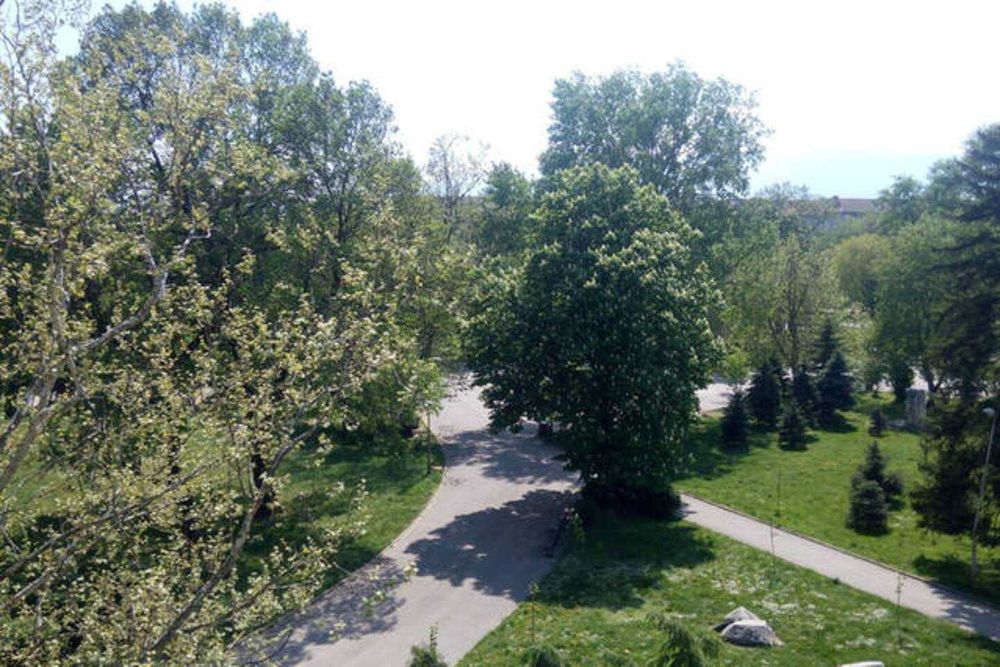 Дава се под наем Двустаен апартамент в София, Оборище - 50 кв.м за 647.19 € - Снимка #4