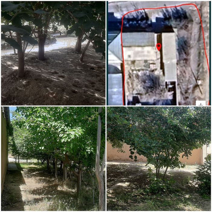 АРАЛОВУЛ 6сот зур жойда