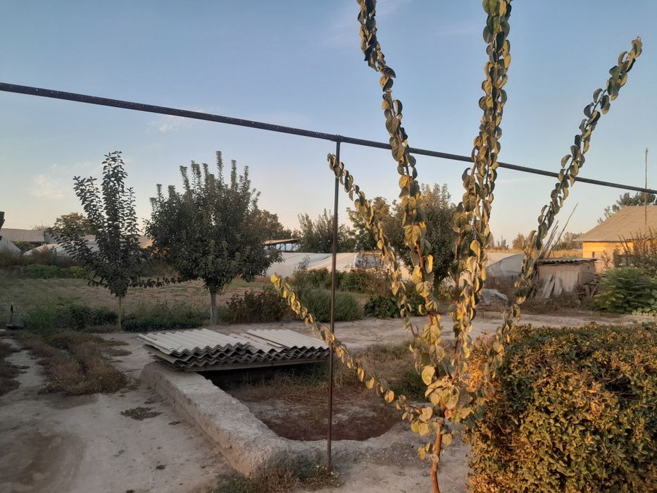 Yer sotiladi 8 sotok