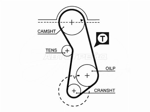 Ремень ГРМ   Audi 100