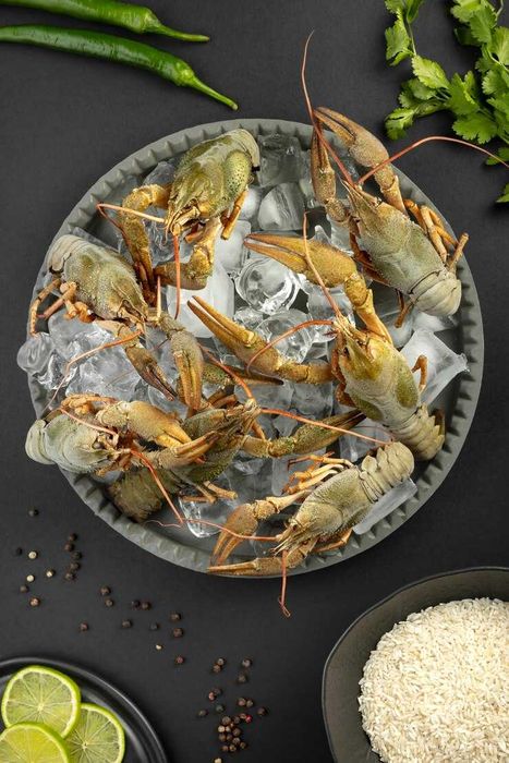 Раки оптом по Узбекистану