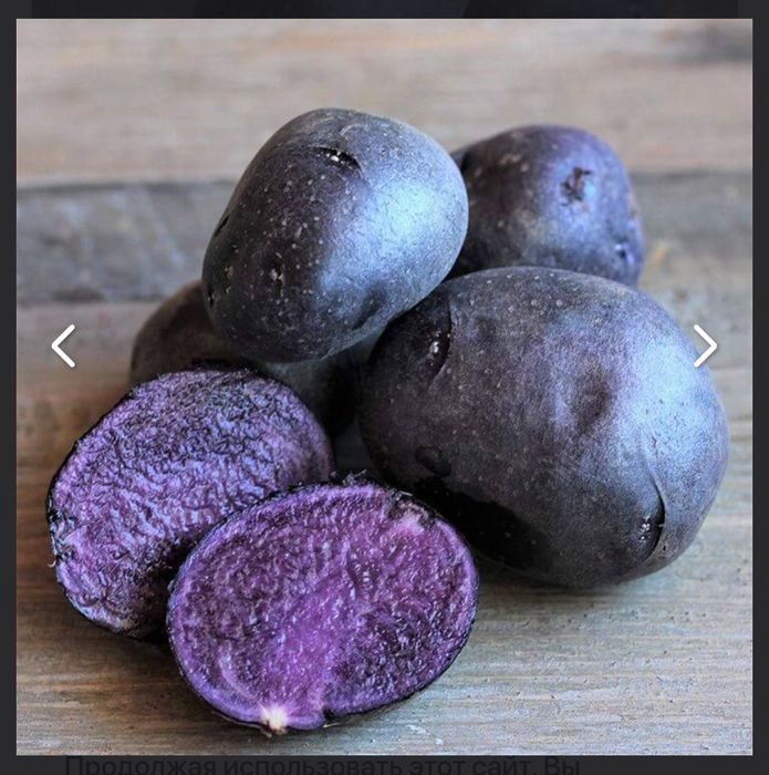 Фиолетовый картофель