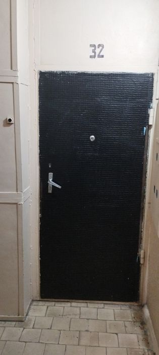 Temir eshik 205*90 Qalin listli