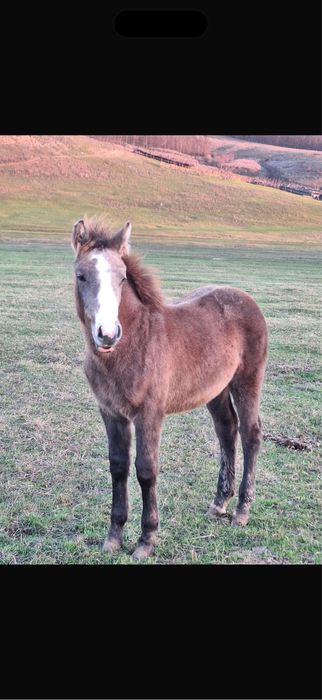 Vand manz )zzhys…!!’sueijei