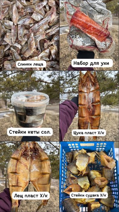 Рыбная продукция