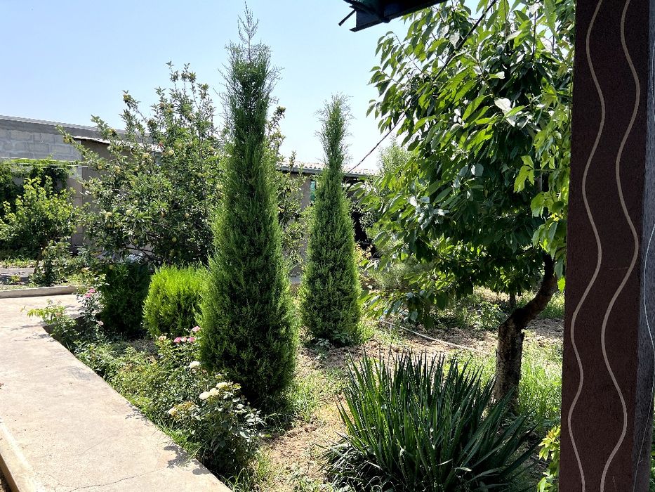 Продаётся своя дача!