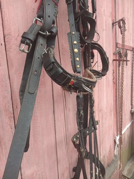 Ham de Cluj și căruță de Lona