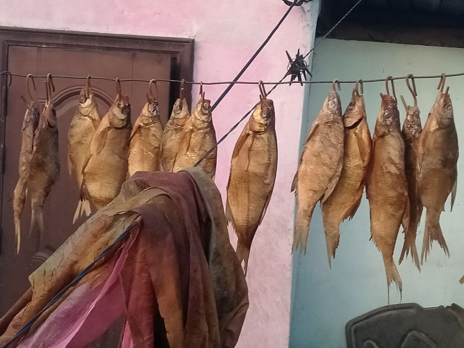 Продам лещ копчёной свежие