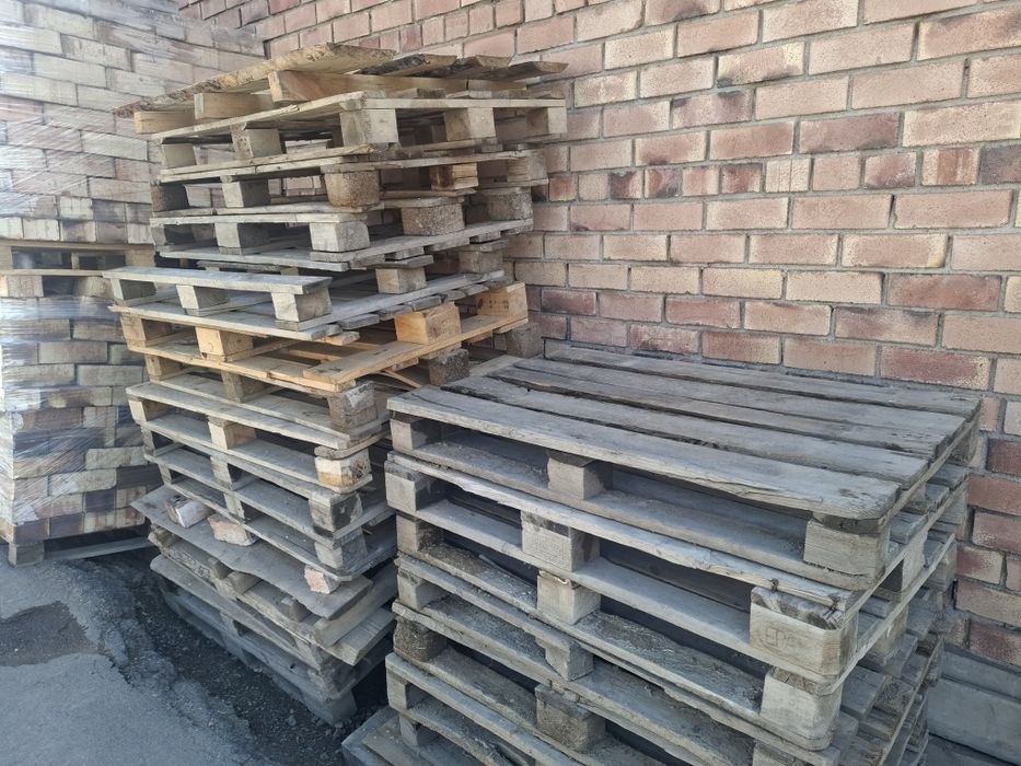 Поддон продам разные размеры 22 штук