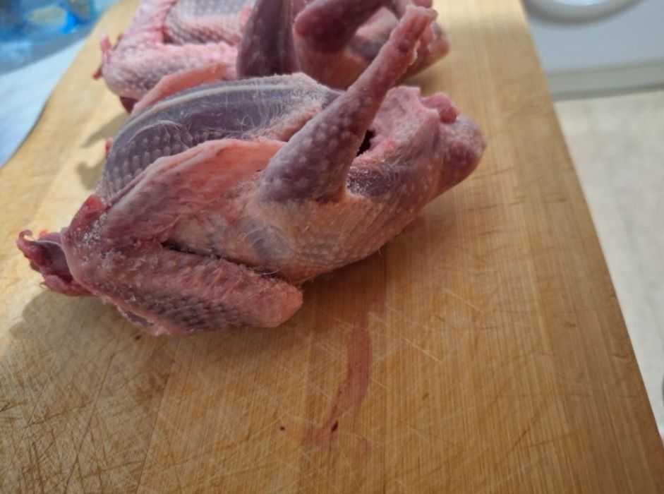 Мясо голубя,  кок кептер еті