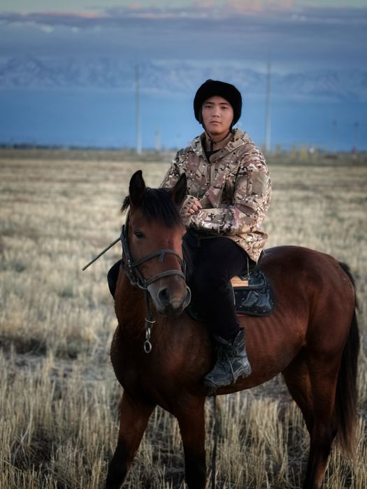 жылқы дөнен