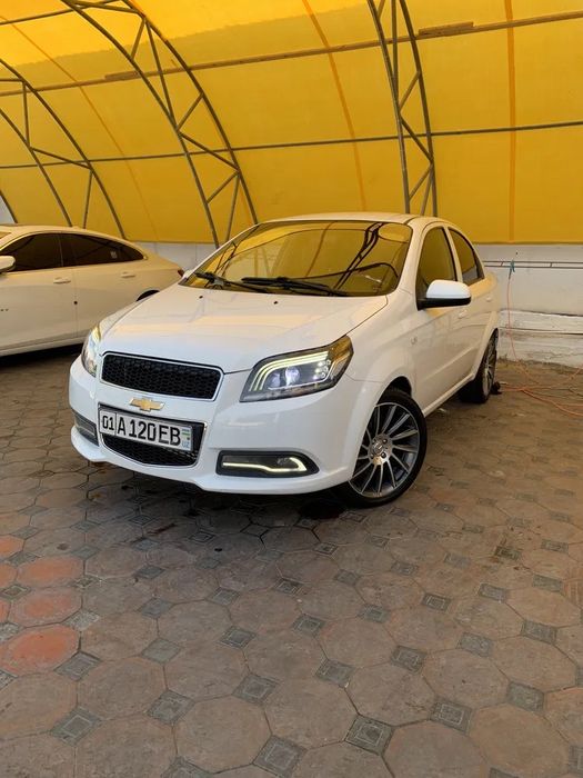 Arenda suxoy kunlik ijara avto prokat