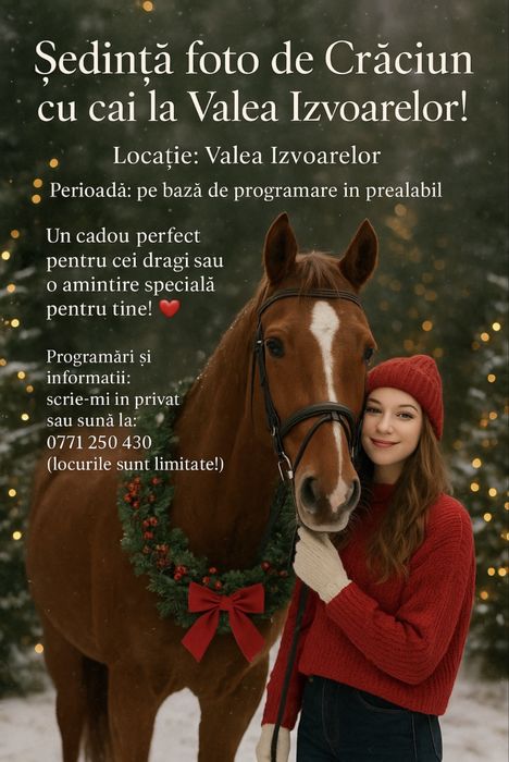 Sedinta foto de craciun cu cai