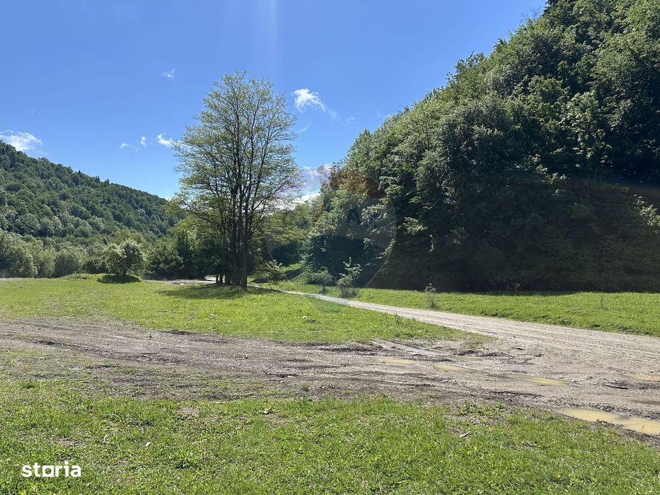 Teren 1,340mp Cuejdiu / Strada Cuejdiului