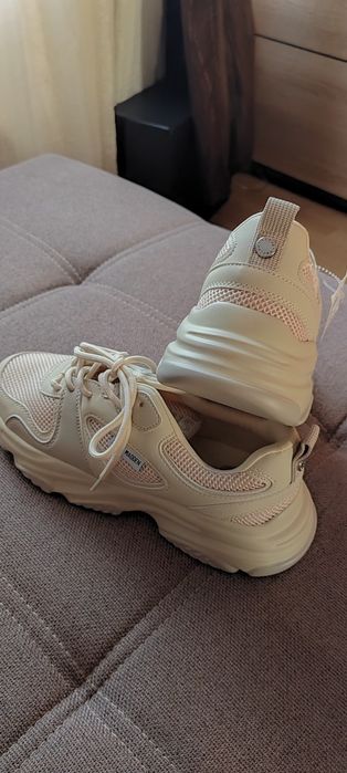Sneakers Steve Madden