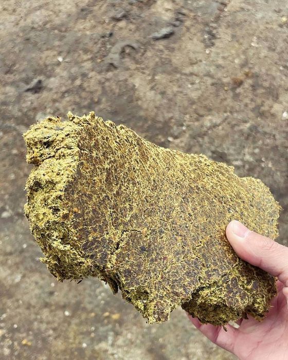 ЁҒЛИ КУНЖАРА  Yog'li kunjara birinchi qol zavod 
Бричи кол махсулот ?