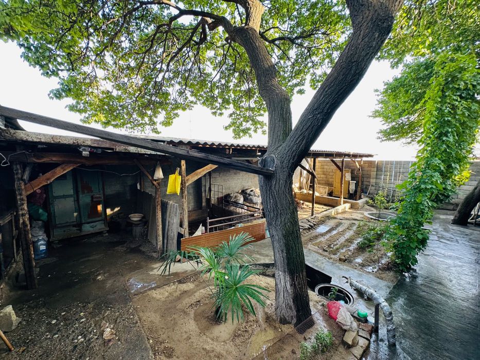 Srochno Sotiladi. 3 sotik 3 xona uyi bor qoshimcha 1 sotik bor