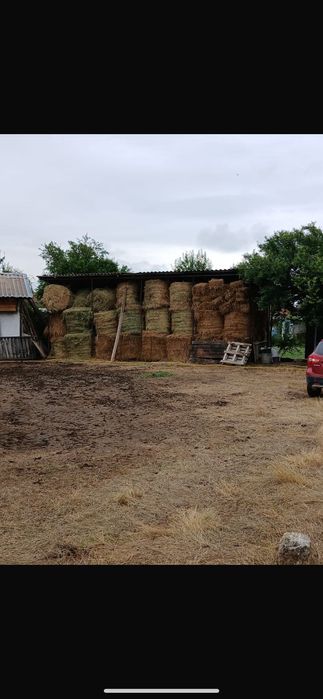 Vând baloți de lucernă