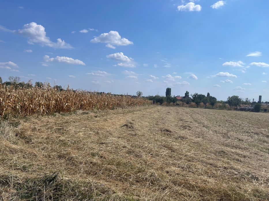 Teren intravilan Cersani, 5 km distanta de Bradu 10 euro mo