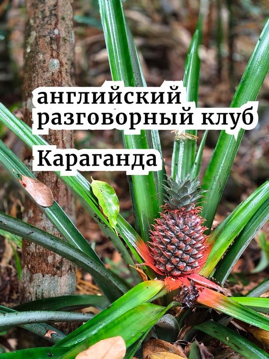 Английский разговорный клуб, Караганда