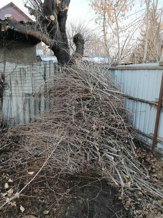 Отдам дрова бесплатно