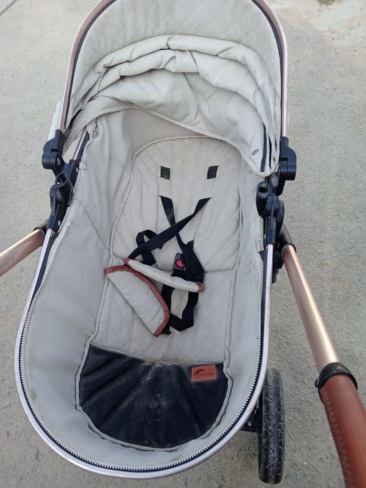 Қалясқа самакаи сатам