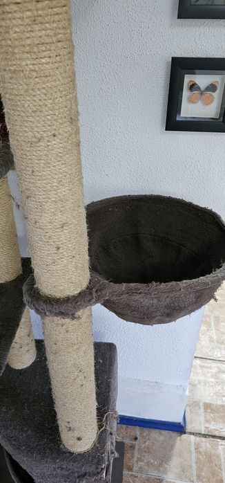 Комплекс для кошек когтеточка