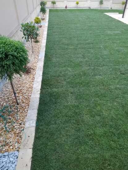 Montaj Gazon Rulou din Pepinieră – Transport și Irigare Asigurate