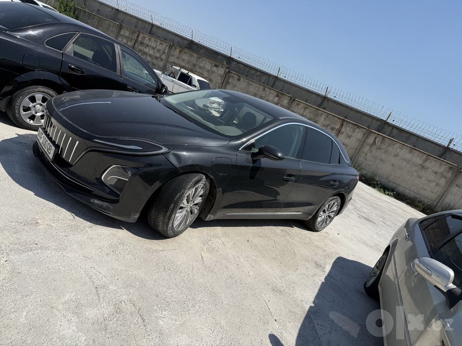 Hongqi EQ5 2024 zapasxod 500 talik