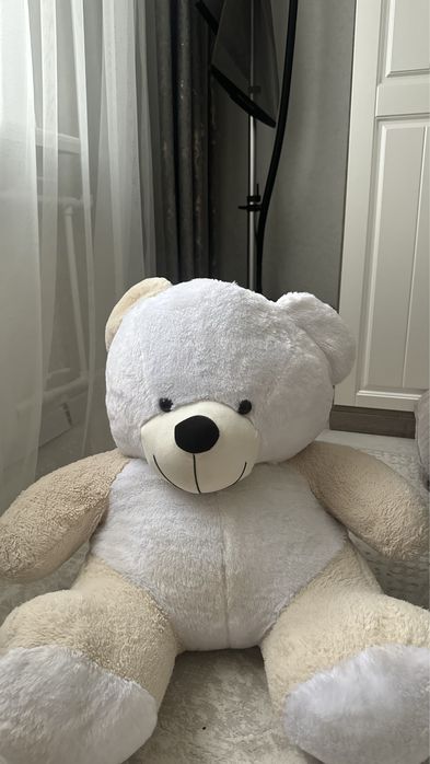 Мишка продам актобе