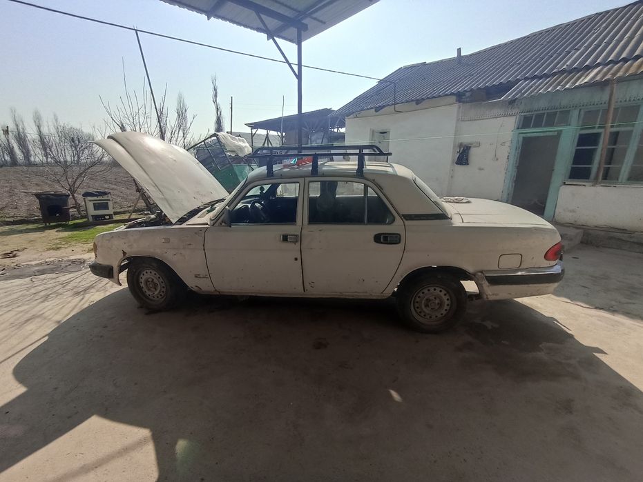 Volga 3110         .