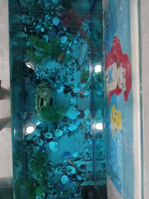 Продам аквариум район океана