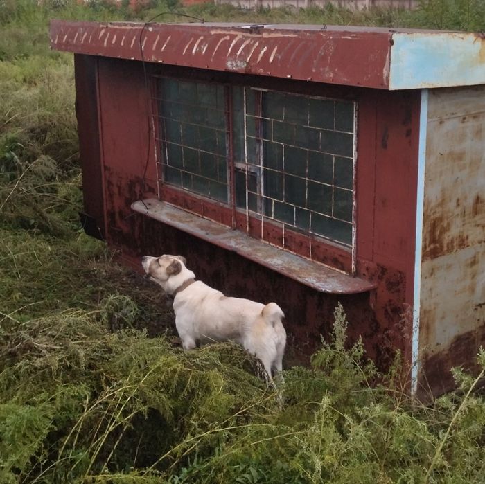 Продам. Бытовой вагончик ( Стационарный)