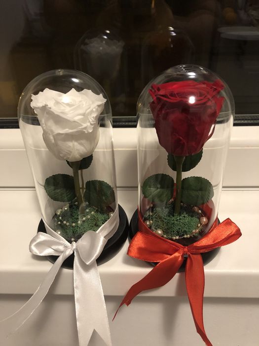 Cupola cu trandafir criogenat conservat