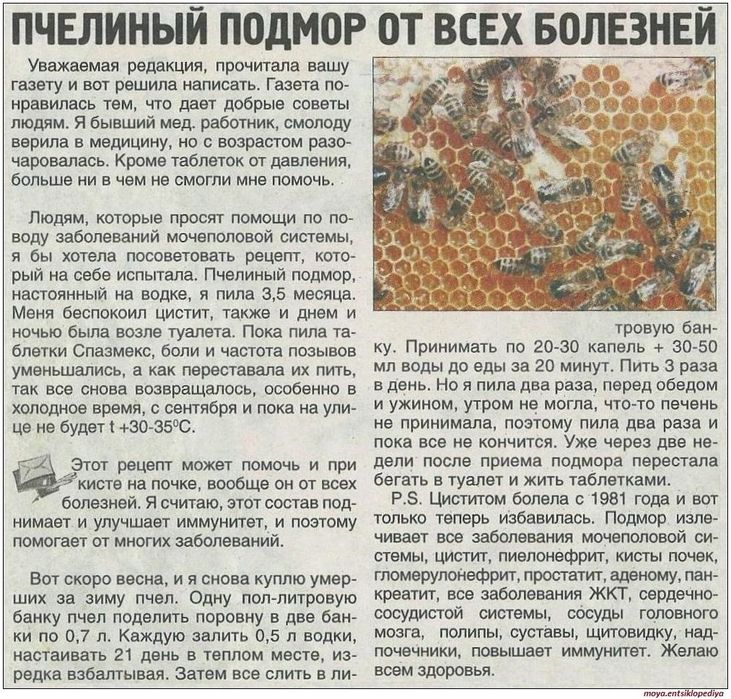 Подмор пчелиный летний. Содержит биологически активные комплексы.