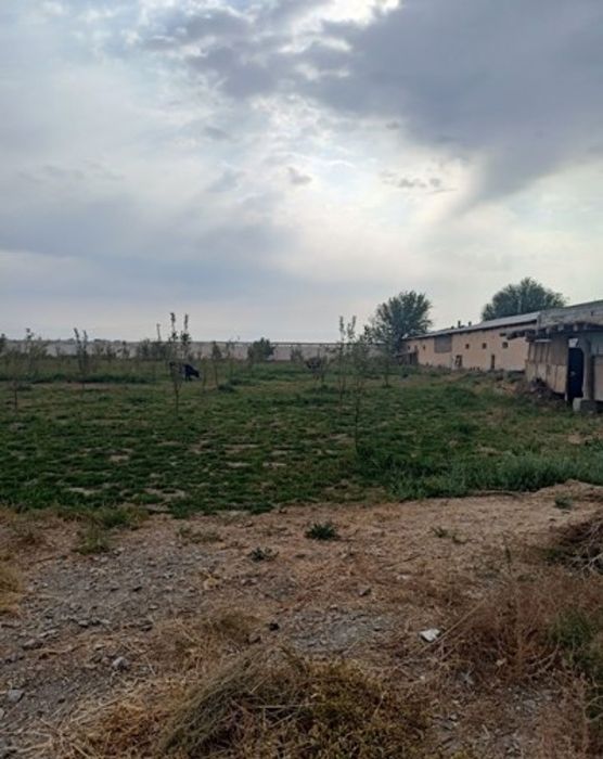 База сотилади 1.1 гектар