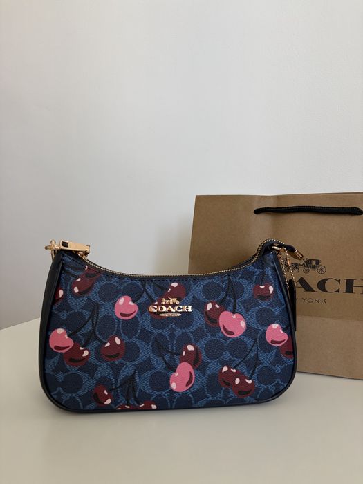 coach teri 24 bag
