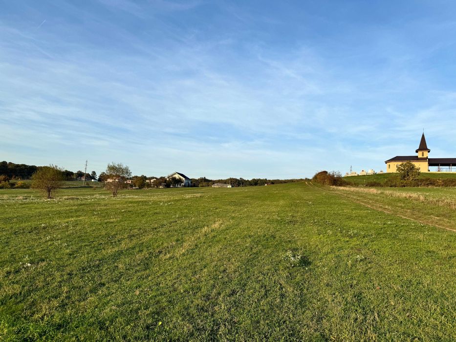 Teren intravilan 5487 mp în localitatea Betfia, comuna Sânmartin