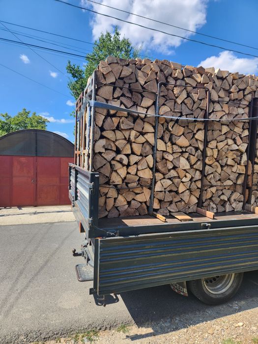 Lemne de foc stejar fag salcâm uscate