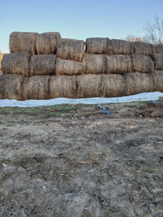 Vând baloți de fân 150/150
