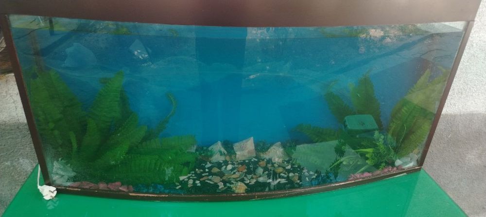 Akvarium stoli bilan sotiladi
