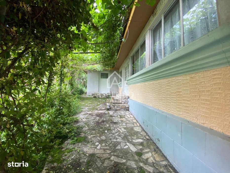 Domeniu 15.900 mp în Fințești | Casă + Investiție Dealu Mare