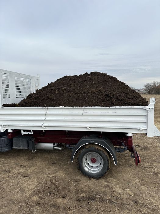 Mranita balegar putred ingrasamant